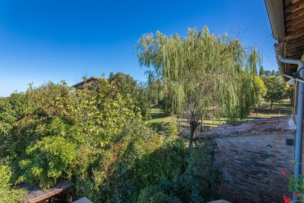 Podere Albereto บูอนคอนเวนโต ภายนอก รูปภาพ